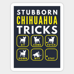 Stubborn Chihuahua Tricks - Dog Training Magnet